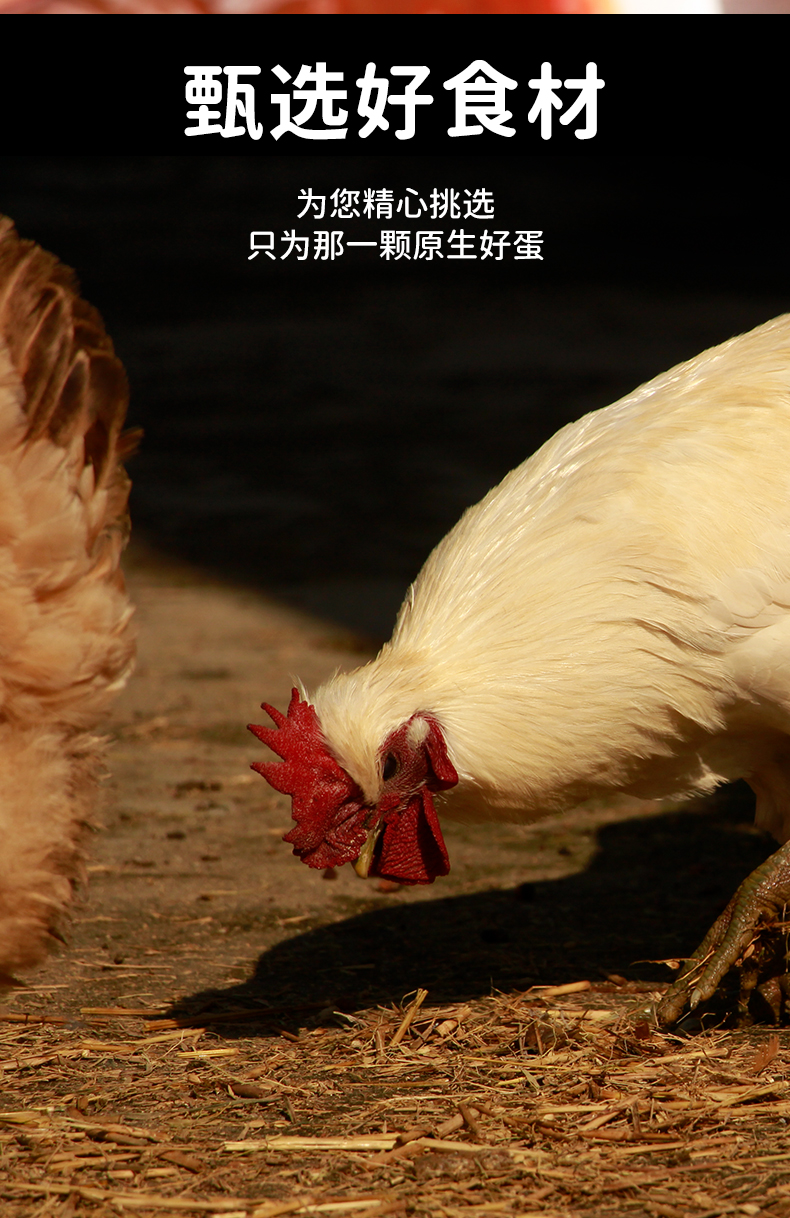 爆醬炸彈_06.jpg